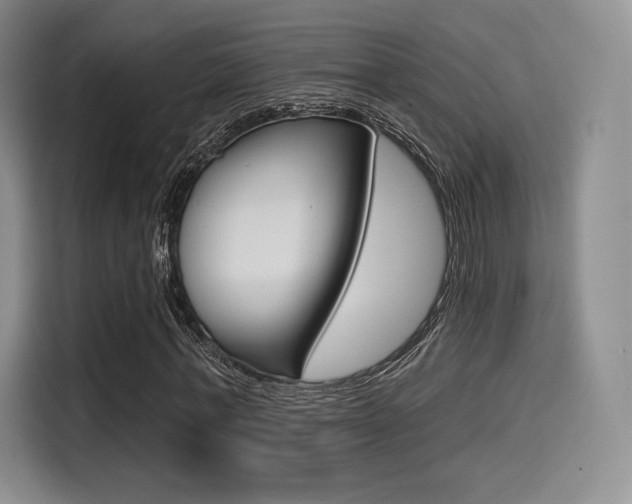 X0000114490771200910191116