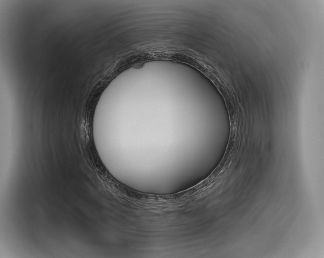 X0000114490772200910191116