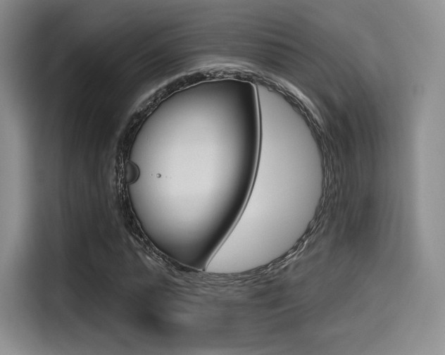 X0000114490775200910191116