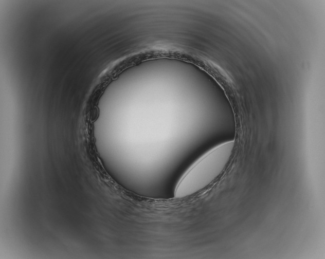 X0000114490776200910191116