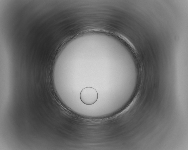 X0000114490777200910191116