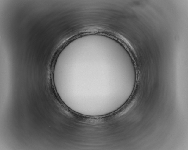 X0000114490778200910191116