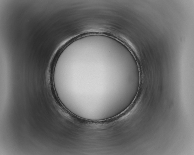 X0000114490779200910191116