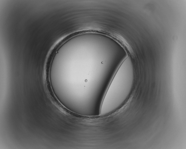 X0000114490780200910191116
