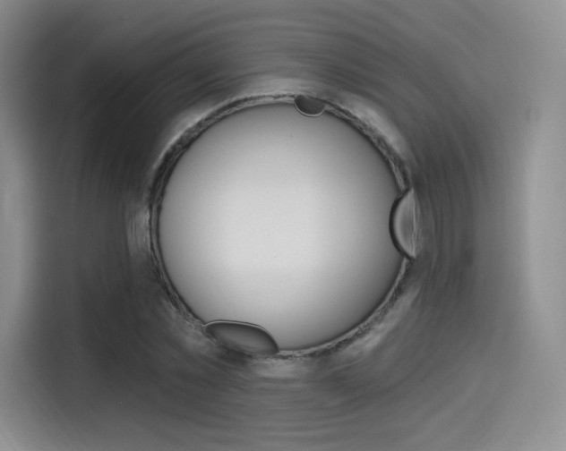 X0000114490781200910191116
