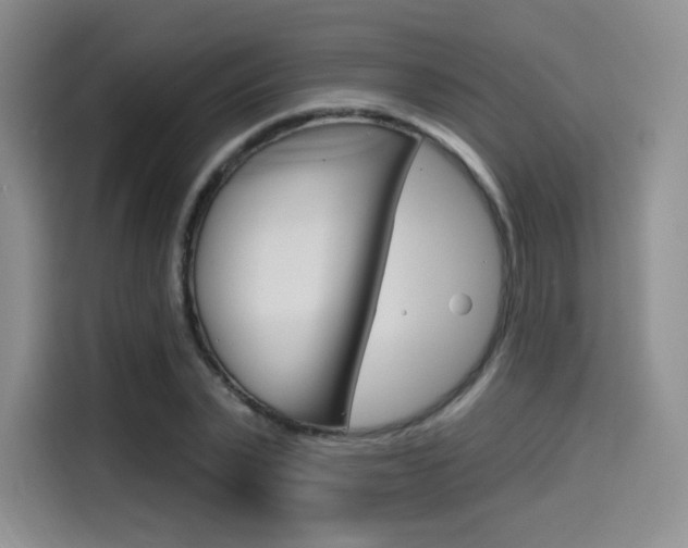 X0000114490783200910191116