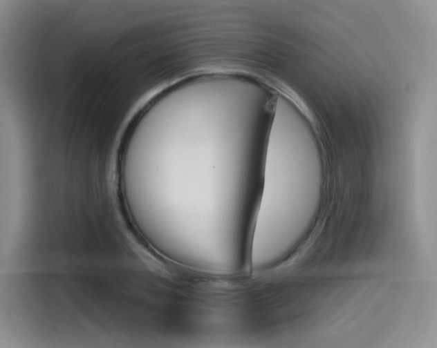 X0000114490787200910191115
