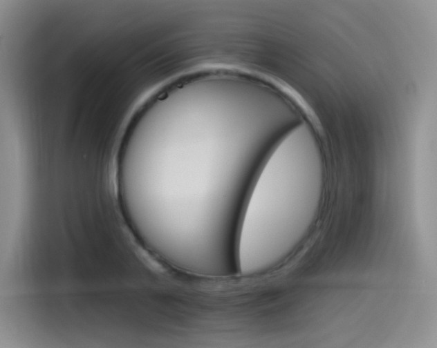 X0000114490791200910191115