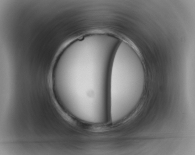 X0000114490795200910191115