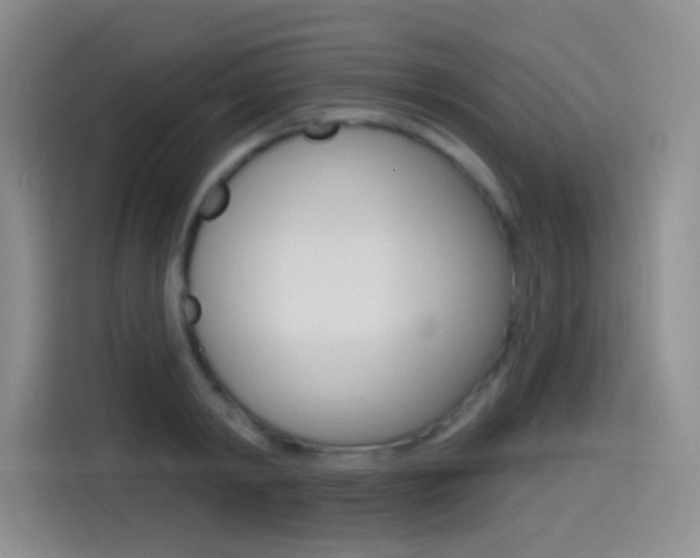 X0000114490798200910191115