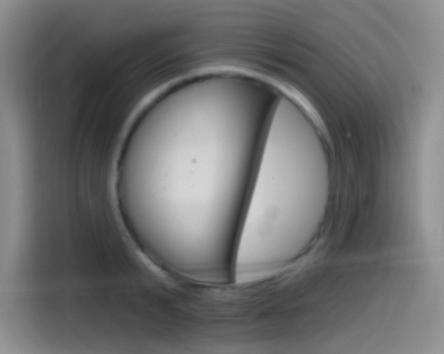 X0000114490799200910191115