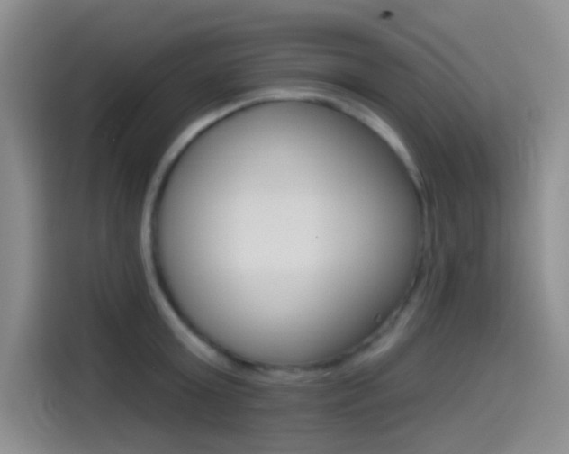 X0000114490803200910191115