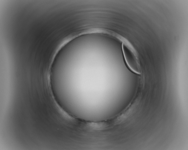 X0000114490805200910191115