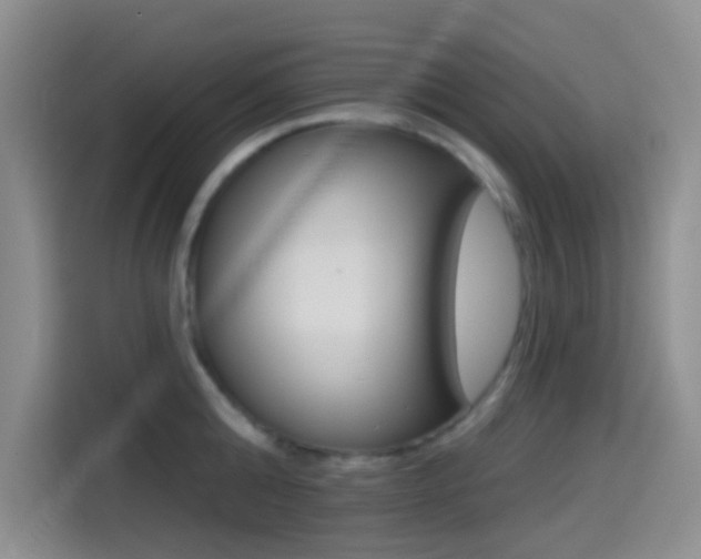 X0000114490808200910191115