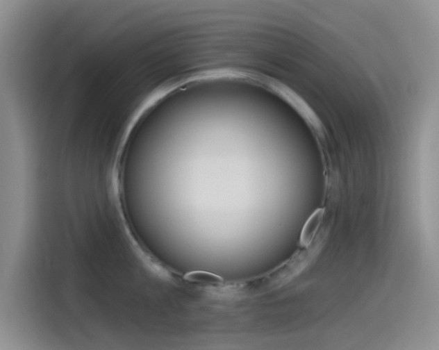 X0000114490813200910191115
