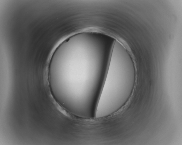 X0000114490816200910191115
