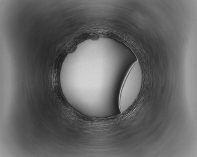 X0000114490818200910191114