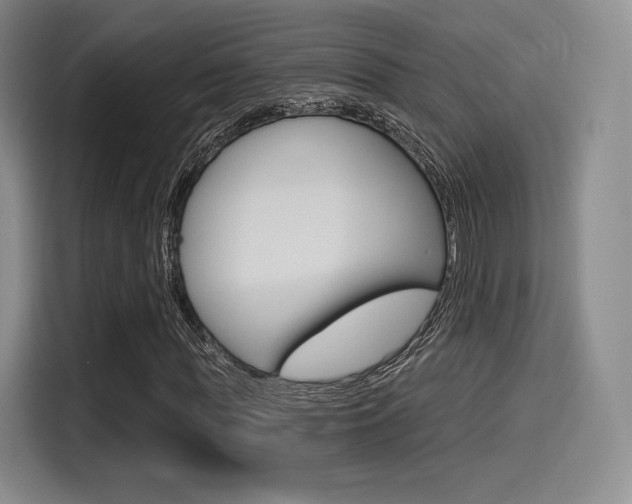 X0000114490819200910191115
