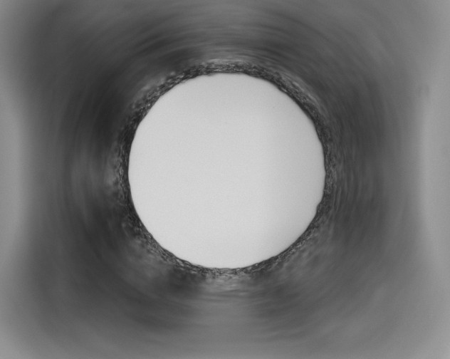 X0000114490824200910191115