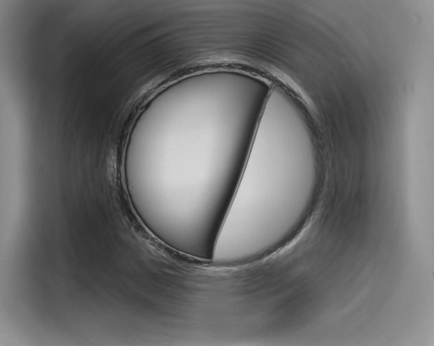 X0000114490825200910191115