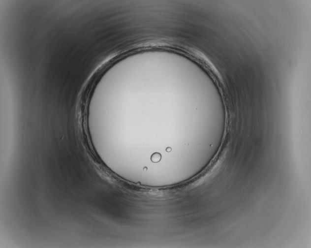 X0000114490827200910191115