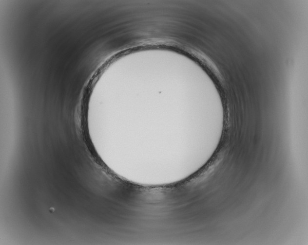 X0000114490828200910191115