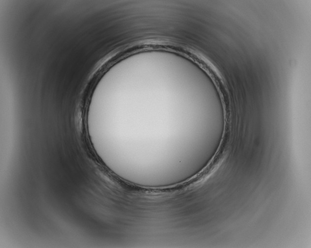 X0000114490829200910191115