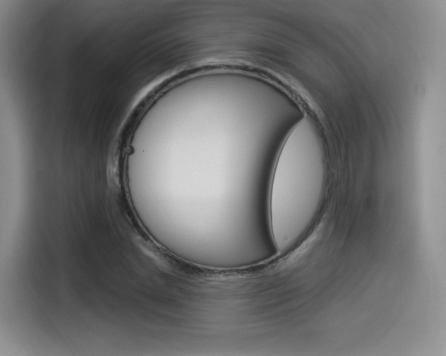 X0000114490830200910191115
