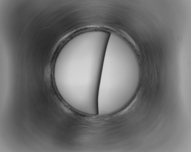X0000114490831200910191115