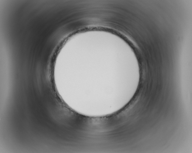 X0000114490832200910191115