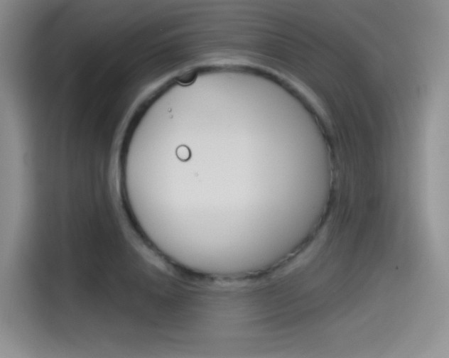 X0000114490840200910191115