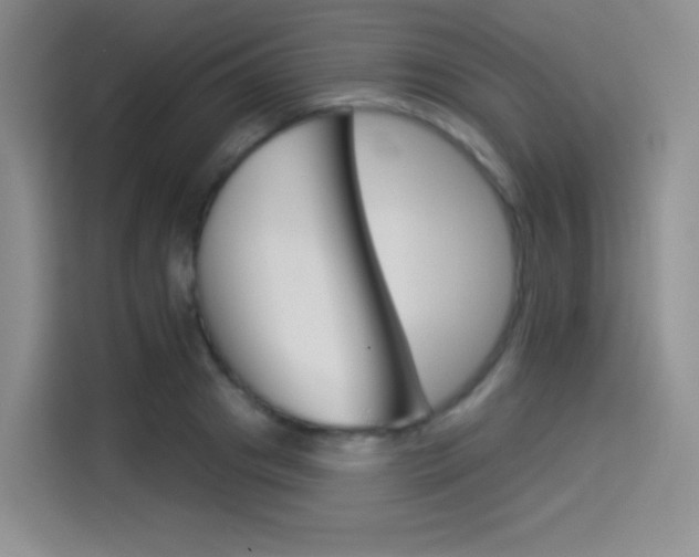 X0000114490841200910191115