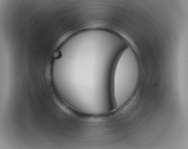 X0000114490842200910191115