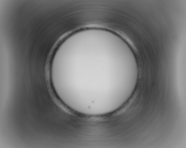 X0000114490848200910191115