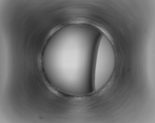 X0000114490850200910191115