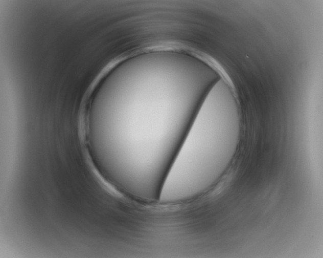 X0000114490851200910191115