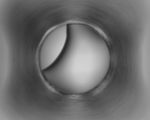 X0000114490854200910191115