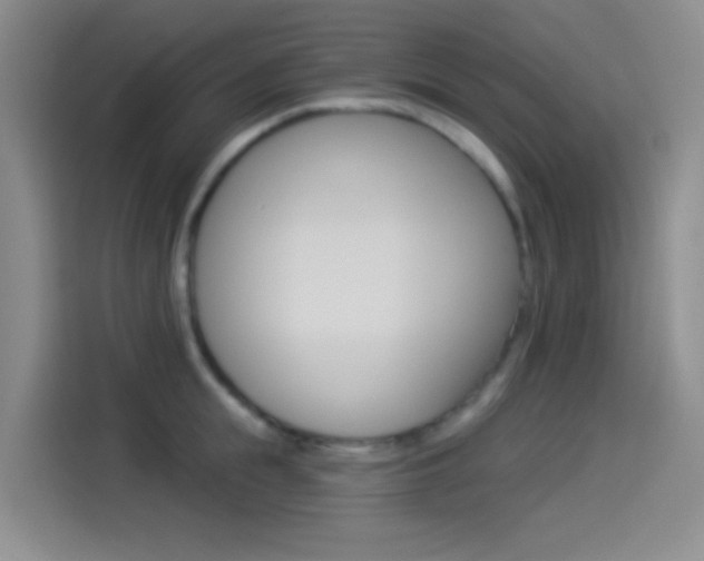 X0000114490855200910191115