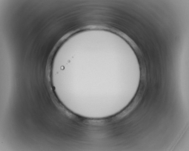 X0000114490856200910191115