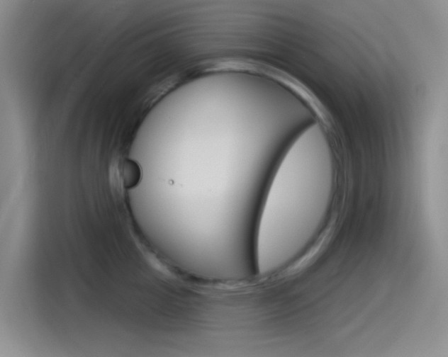 X0000114490857200910191115