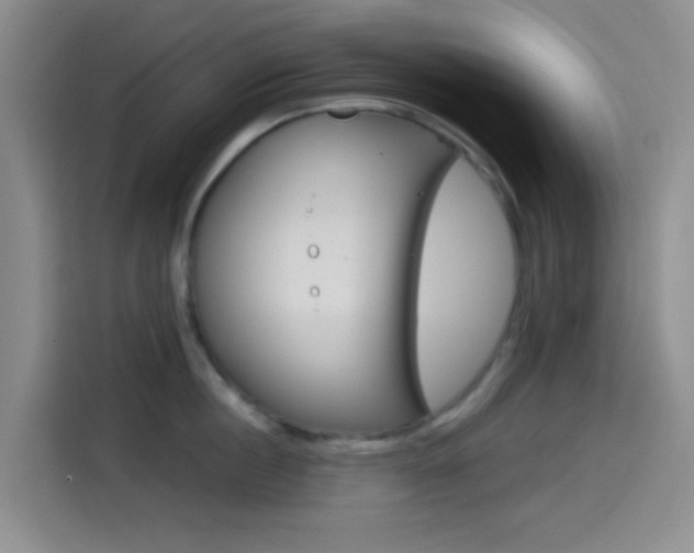 X0000114490860200910191115