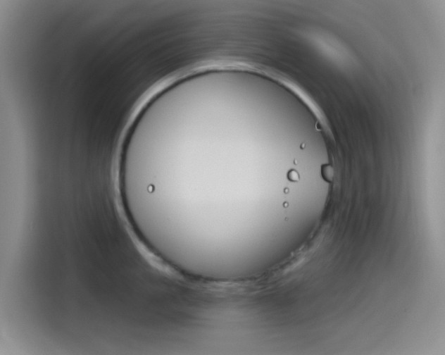 X0000114490861200910191115