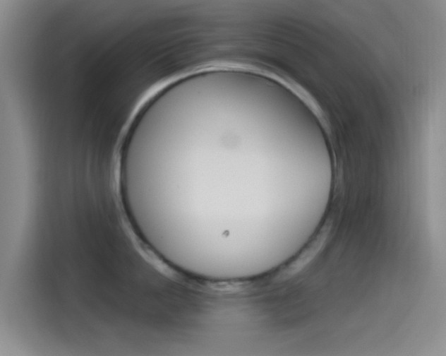X0000114490862200910191115