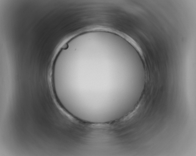 X0000114490863200910191115