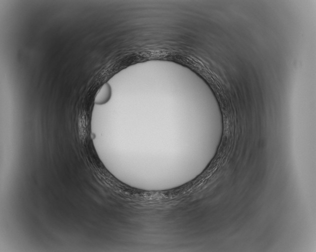 X0000114490866200910191114