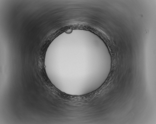 X0000114490869200910191114