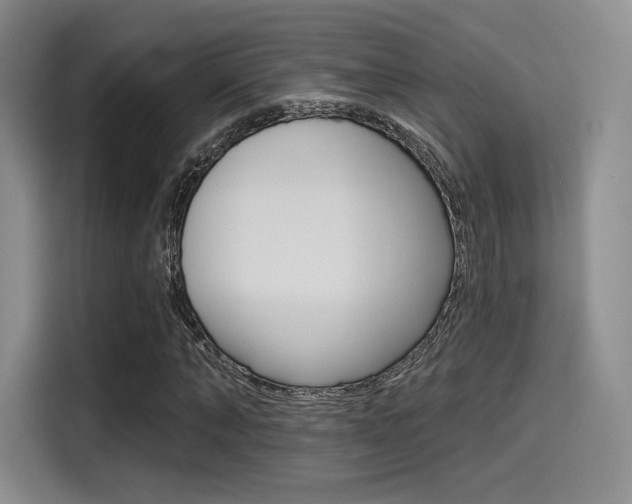 X0000114490870200910191114