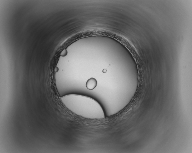 X0000114490871200910191114