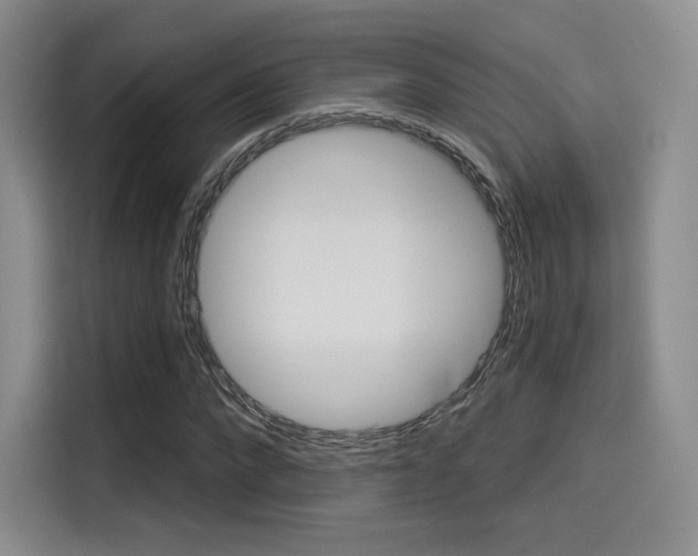 X0000114490872200910191114