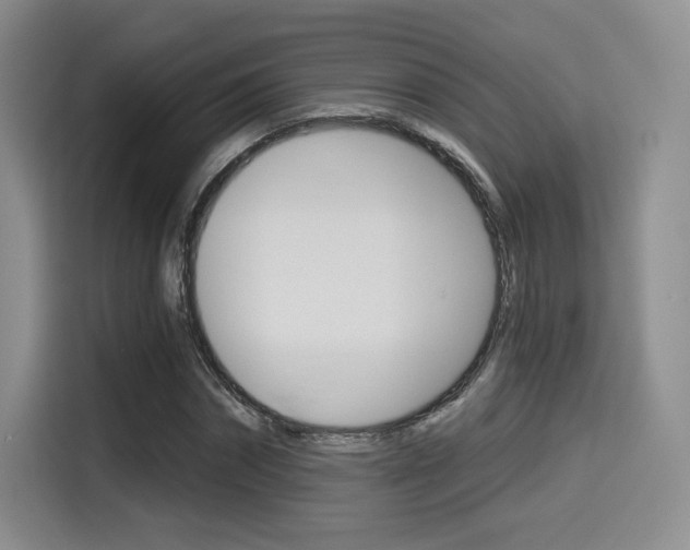 X0000114490874200910191114